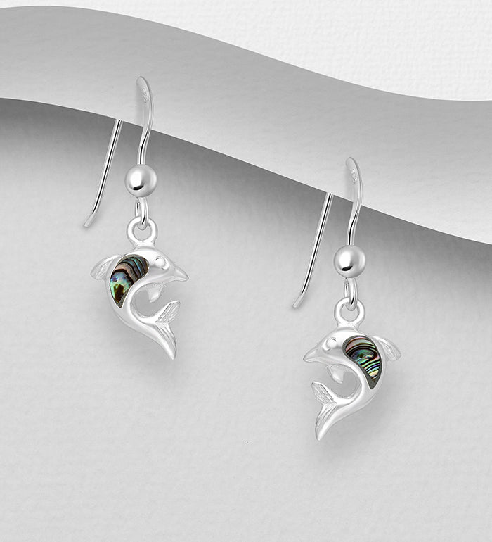 Dolphin paua