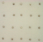 Nose pin 1.5mm stg silver