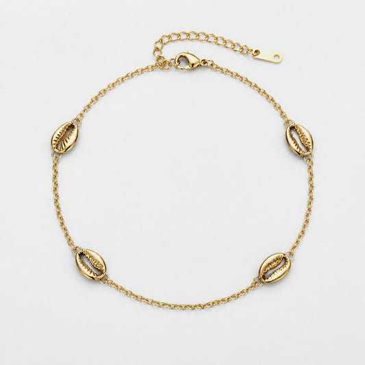 18K Gold Plated Stainless Steel cowrie shell necklace 38=5cm